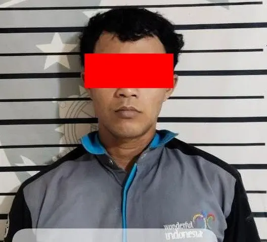 Pura-pura Ikut Cari Motor yang Dicurinya, Pelaku Curanmor di Pringsewu Ditangkap Polisi
