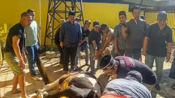 Idul Adha 1447H, DPD Golkar Lampung Selatan Salurkan 450 Paket Daging Kurban